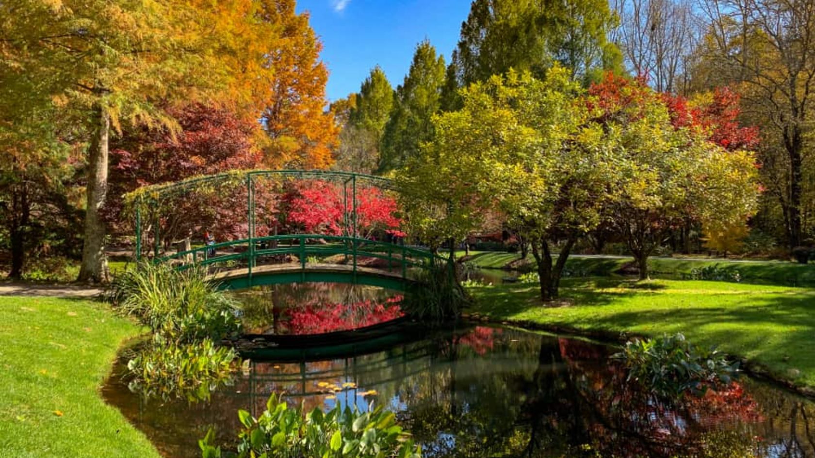 a bridge over a pond with trees and grass