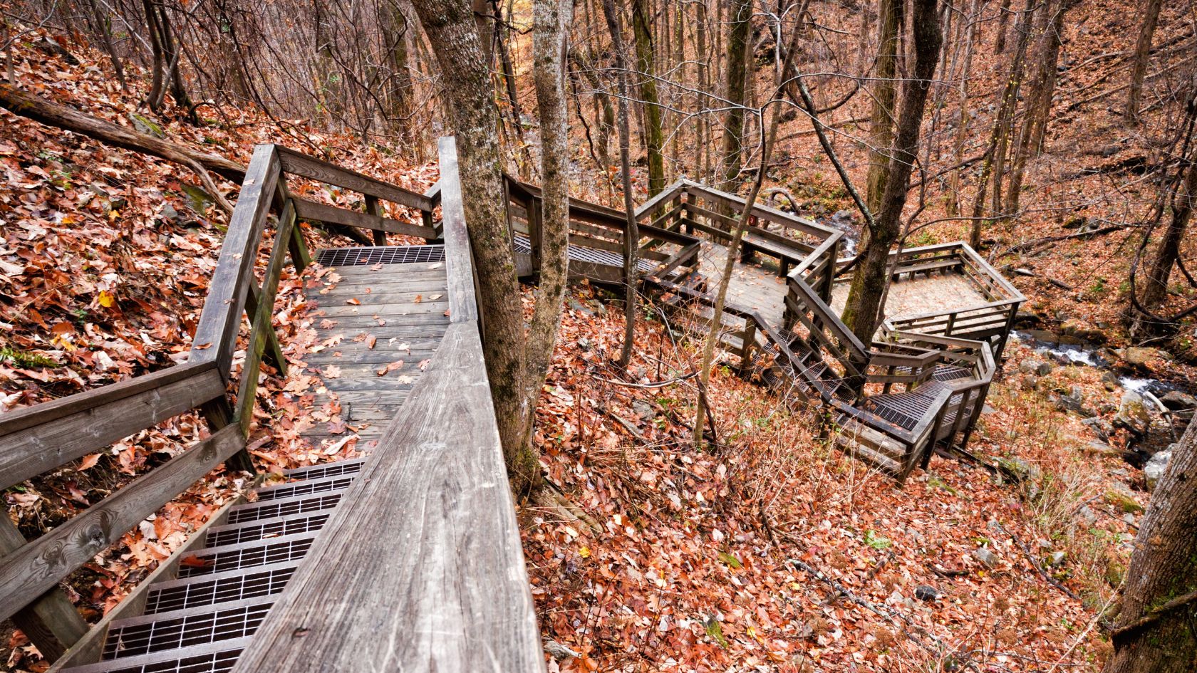 a wooden stairs in the woods