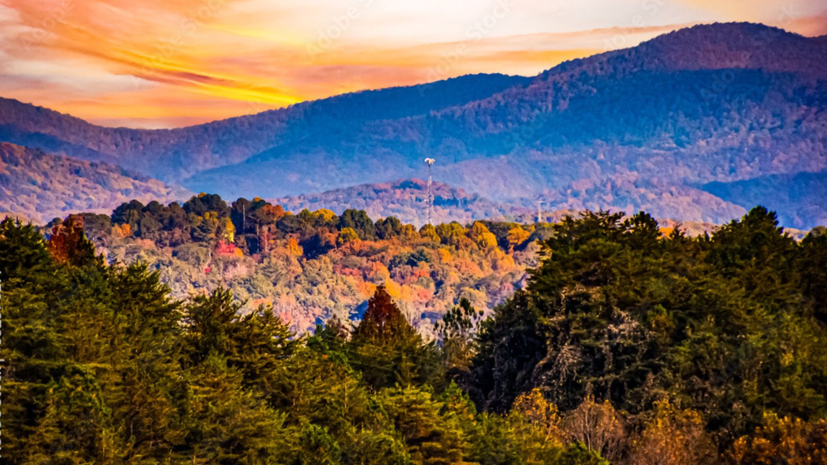 a landscape of a forest with mountains in the background