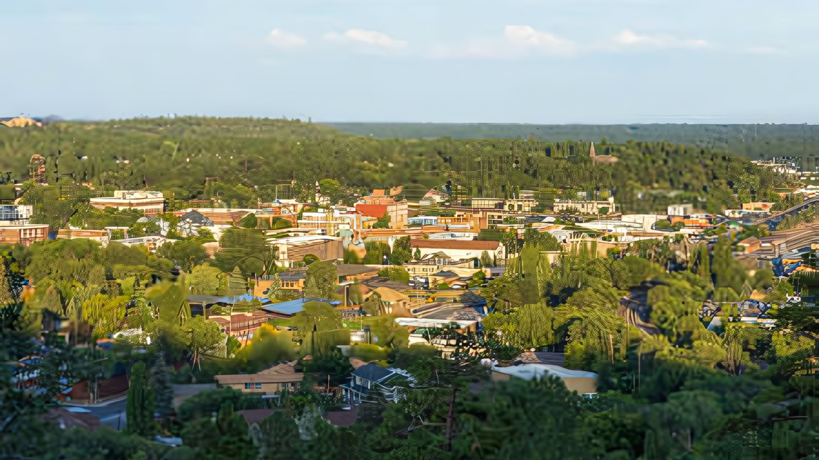 a city with trees and buildings